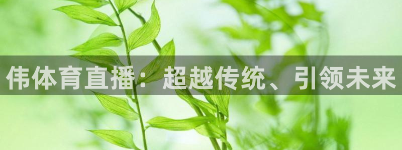 河豚直播