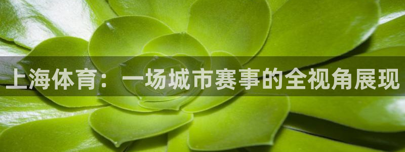 河豚直播体育app下载