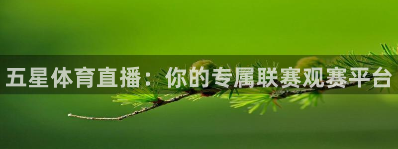 河豚直播nba免费观看