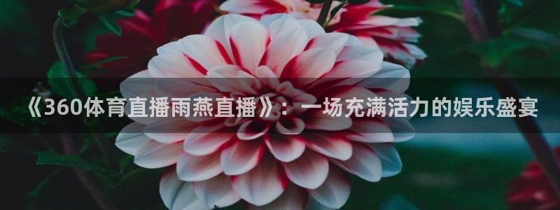 河豚直播体育app下载