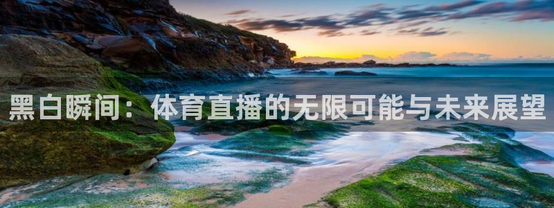 河豚直播体育app下载