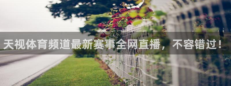 河豚直播nba免费观看