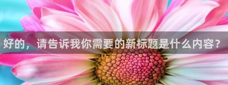 河豚直播体育直播