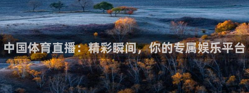 河豚直播nba免费观看下载