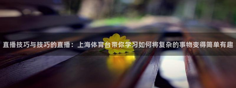 河豚直播在线看球