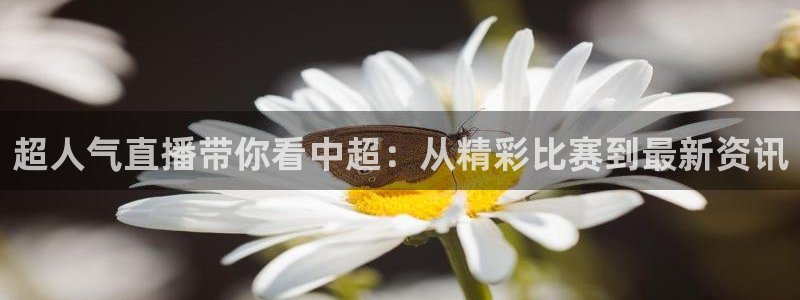 河豚直播